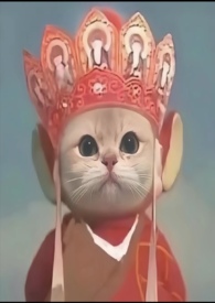 野鹤和街崽是同一个人